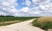 Tour Wandern Chaumont-Gistoux - Sur les traces de la préhistoire  - Photo 4