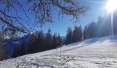 Tour Skiwanderen Puy-Saint-Pierre - balade le long du prorel - Photo 1