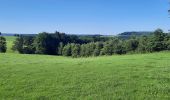 Tour Wandern Marche-en-Famenne - BOUCLE CHAMPLON-FAMENNE-HODISTER-CHAMP  - Photo 5