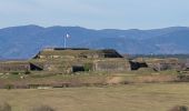 Excursión Senderismo Sevenans - Randonnée des forts depuis Sévenans - Photo 9