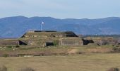 Tour Wandern Sevenans - Randonnée des forts depuis Sévenans - Photo 9