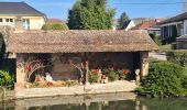 Trail Walking Molsheim - Le long de la Bruche et de son canal - Photo 8