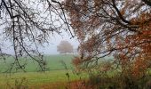 Tour Wandern Villers-la-Ville - De l'abbaye de Villers-la-Ville à Sart-Dames-Avelines - Photo 14