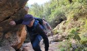 Tour Wandern Le Muy - La Combe Renaude et le Pic Rébéquier - Photo 4