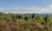 Tour Wandern Reynès - nd de Roure - Photo 13