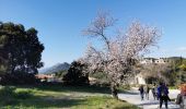 Randonnée Marche La Crau - La Crau, Fenouillet, Château d'Hyères - Photo 3