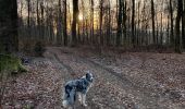 Tocht Stappen Neufchâteau - Hosseuse via la rivière  - Photo 5