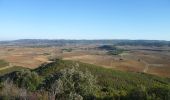 Trail Walking Boutenac - BOUTENAC - Circuit des combes par la chapelle St Siméon - Photo 11