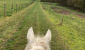 Trail Horseback riding Saint-Martin - Tivio kaline changer au milieu  - Photo 6