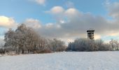 Tocht Stappen Spa - berinzenne entre forêt et fagne  - Photo 1