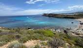 Trail Walking Calvi - Calvi : Pointe de revellata - Photo 14