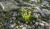 Tour Wandern Névache - des Drayères à Terres rouges - Photo 17