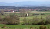 Tour Zu Fuß Waake - Radolfshäuser Rundwanderweg - Photo 7