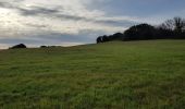 Tour Nordic Walking Octon - Octon Dolmens de Toucou - Photo 3