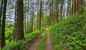 Tocht Stappen Vresse-sur-Semois - Promenade de la Roche à Campa - Orchimont - Photo 11