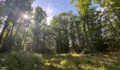 Trail Walking Saint-Agnan-en-Vercors - Rocher du mas (vercors) - Photo 10