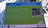 Tour Wandern Thimister-Clermont - Thimister : Balade de la Bettefontaine à la Bèfve - Photo 12
