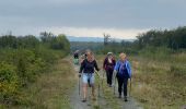 Trail Walking Marche-en-Famenne - Marche-en-Famenne - Photo 4