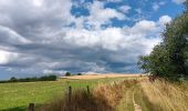 Tocht Stappen Comblain-au-Pont - qwadrifyon autour d´Oneux  - Photo 8