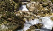 Trail Walking Saint-Vincent-de-Mercuze - Cascades de l'Alloix - Photo 11