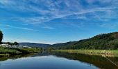 Percorso A piedi Wesertal - Eco-Pfad Pilgerwege Gottsbüren 2 