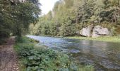 Tocht Stappen Goumois - Circuit du barrage de la Goule - Photo 8