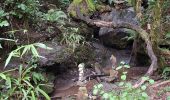 Trail Walking La Bastide-Solages - La Bastide des Parédous - Photo 5