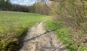 Trail Walking Beauvechain - HAMME mille 20,8 km - Photo 11