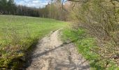 Tour Wandern Beauvechain - HAMME mille 20,8 km - Photo 11