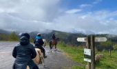 Trail Horseback riding Ban-de-Laveline - ACPL Ban de laveline yoigo  - Photo 4