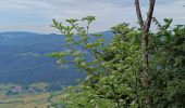 Tocht Stappen Saint-Martin-en-Vercors - Pas st Martin - Photo 10