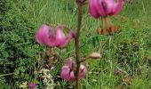 Trail Walking Mont-Dore - Petit tour aux myrtilles depuis le camping - Photo 2
