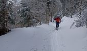 Tour Skiwanderen Mont-Dore - le capucin - Photo 17
