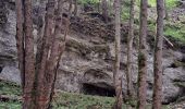 Randonnée Marche Lans-en-Vercors - Du col de croix de Perrin au Pas de Bellecombe - Photo 1