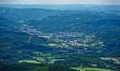 Excursión A pie Lüdenscheid - Versetalsperre Rundweg A1 - Photo 4