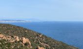 Excursión Senderismo Saint-Raphaël - Saint pilon pic du cap roux et ste beauté - Photo 4