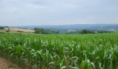 Tour Wandern Marche-en-Famenne - marche en famenne 280623 - Photo 10