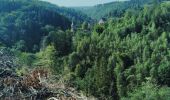 Tocht Stappen Waimes - CANI-RADO TOUR (boucle, château de reinhardstein à waimes) - Photo 2