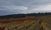 Tour Wandern Vernègues - Château bas-Vernègues-chapelle - Photo 3