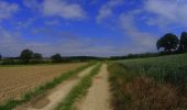 Tour Mountainbike Walcourt - activity_8994564839 - Photo 10