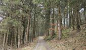 Tour Wandern Monschau - A la découverte de Rohren 🥾 - Photo 14