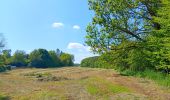 Tour Wandern Braives - entre Burdinale et Mehzigne via Fumal, Marneffe et Huccorgne - Photo 17