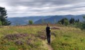 Tocht Stappen Servance-Miellin - 2019-08-06 Marche Ballon Servance Ballon Alsace - Photo 2