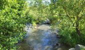 Tocht Stappen Bastenaken - Bastogne Mesa 280624 - Photo 13