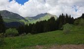 Trail Walking Les Gets - Du Mont Caly au Mont Chéry - Photo 2