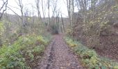 Tocht Te voet Hoei - 01-12-19 13:42:57 - Photo 5