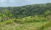 Randonnée Marche nordique Petit-Bourg - Forêt de celus  - Photo 3