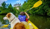 Tocht Stappen Houyet - Natuur - Wandeling van het Park d'Ardenne  - Photo 6