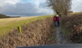 Tocht Stappen Genepiën - Bousval  - Photo 1