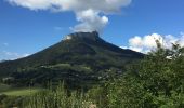 Tour Wandern Le Sappey-en-Chartreuse - Ascension au fort saint Eynard - Photo 15